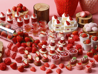 15％OFF! [Online Price] Greatest Strawberry Sweets Buffet 90 min. Adult 4,250 yen