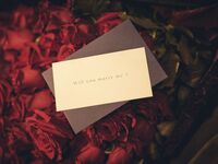 [Proposal Plan] Private chapel, 5 rose bouquets, and a toast with a luxurious full-course meal