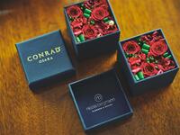 [Limited until March 1st] Preserved Flower Box + Conrad Holiday Bear