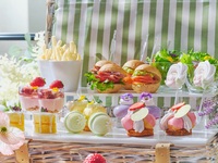 【土日ピクニックプラン（わんちゃん同伴有）】2部大人/中学生以上