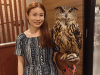 【80分大人】 触れ合い＋フクロウ乗せ体験＋1オーダー制