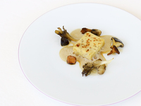 [Summer SIMOSE] Dinner Course - 18,000 yen
