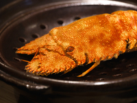 和琉プレミアムコース　績　ーTUMUGIー