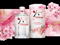 Spring BBQ & Beer Garden | Light Plan