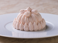 <3月>マロンシャンテリーさくら セット