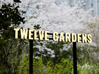 【桜LUNCHコース テラス確約】 3月16日〜4月5日 春の桜LUNCHコーステラス確約プラン 6500円 (LUNCH)