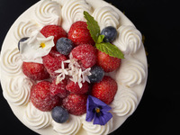 【窓側確約×ホールケーキ】シェフおすすめディナー ～Mimosa Night "Merci"～