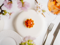 コース・セゾン - Course Saison - メインを牛ヒレ肉ランクアップ14000円 