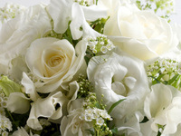 【法要プラン】コース料理＋個室料無料　11,000円（3/1～）