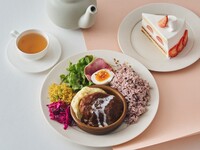【デザート＆ドリンク付きのスペシャルブランチ】煮込みハンバーグ、デミグラスソース