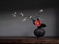 継　8,000円コース