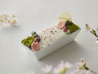 桜の枯山水ティラミス