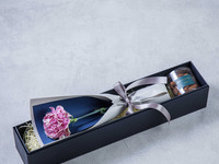 ⚘母の日ギフト⚘カーネーション＆アマンドショコラ