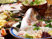 【春だけの贅沢】真鯛の姿盛りと霜降り京の都もち豚のWメイン！エビス5種も飲める歓送迎会プラン