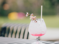 【3/18-4/20】15:00−季節限定 ストロベリーアフタヌーンティー＋季節限定ドリンク