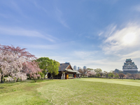 [Osaka Castle Nishinomaru Garden admission ticket included] Full course lunch plan