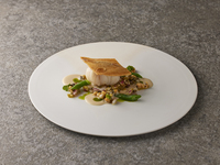 【Lunch Course MIZU】コースのみ