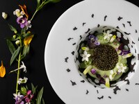 【Dinner Course TSUKI】コースのみ