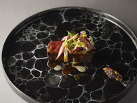 【Dinner Course HOSHI】Course only