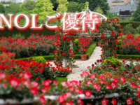 《平日限定》【NOL会員さま】レッドローズガーデン入場券付きスーパースイーツビュッフェ～～ 