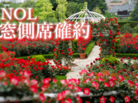 【窓側席確約】《NOL会員さま》レッドローズガーデン入場券付きスーパースイーツビュッフェ～～ 