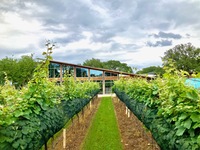 Sillage x Texas Wine Makers Dinner