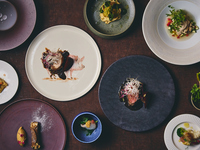 Dinner [ALTER EGO] 9 dishes with Shimanto pork as the main course + a toast with sparkling wine (New menu from February 13th)