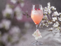 ❀Sakura × Strawberry❀ Cherry Blossom Viewing Strawberry Afternoon Tea