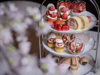 お花見ハイティー