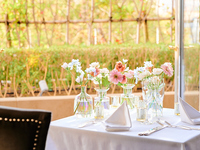 卒業祝いや合格祝いなど家族の節目のお祝いに！生花に彩られた特別席＆乾杯酒・ケーキがついた4品ランチコース～SEASON～