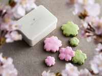 桜クッキー缶