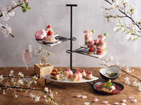 [Limited Time Offer] Experience the arrival of spring with all your senses ~ Sakura Rose Afternoon Tea