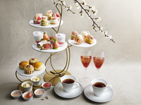JW Strawberry Afternoon Tea ~White Strawberries and Cherry Blossoms~ + Glass of Dom Perignon