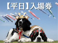 入場券（平日）