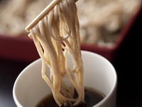 【くまポン】春の絶品ランチ×絶景スイーツ　2026.3月～5月