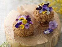 【To Go】Mimosa Cream Puff