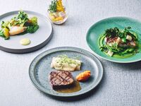 【Signature Course】Appetizer, Fish, Meat, Dessert