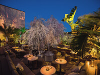 SAKURA Festival [Seats only] Reservations