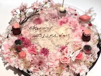 【平日ランチ】お花見プレート アニバーサリープラン