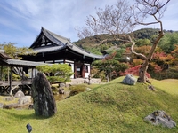 Half-course dinner with 4 dishes, including a ticket to Kodaiji Temple