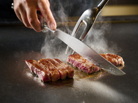 Teppanyaki Course [Yayoi]