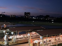 繁忙日：【椅子席】24人乗り観覧船の手配