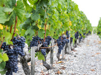 BARON PHILIPP DE ROTHSCHILD MAKER'S DINNER