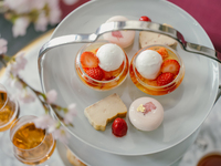 11시 한정 / 벙커스 바에서 딸기 사쿠라의 애프터눈 티 / 프리 음료 포함