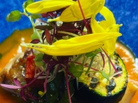 Dinner course