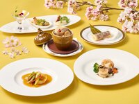 一休桜花(3/1～4/30)