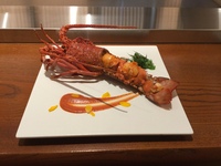 Live spiny lobster (1 piece)