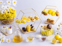 [Student Discount] "Honey Lemon Holic Afternoon Tea"