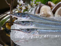 旬の味覚ディナーコース【厳撰牛サーロイン】