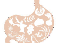 Golden Week Special course